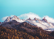 金年会官网-谷爱凌:2025年是网暴谣言最严重的一年,也是最难的一年