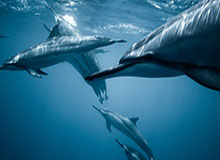 金年会app-吕迪格膝盖顶人动作引争议，科贝：这是今年最野蛮的犯规之一